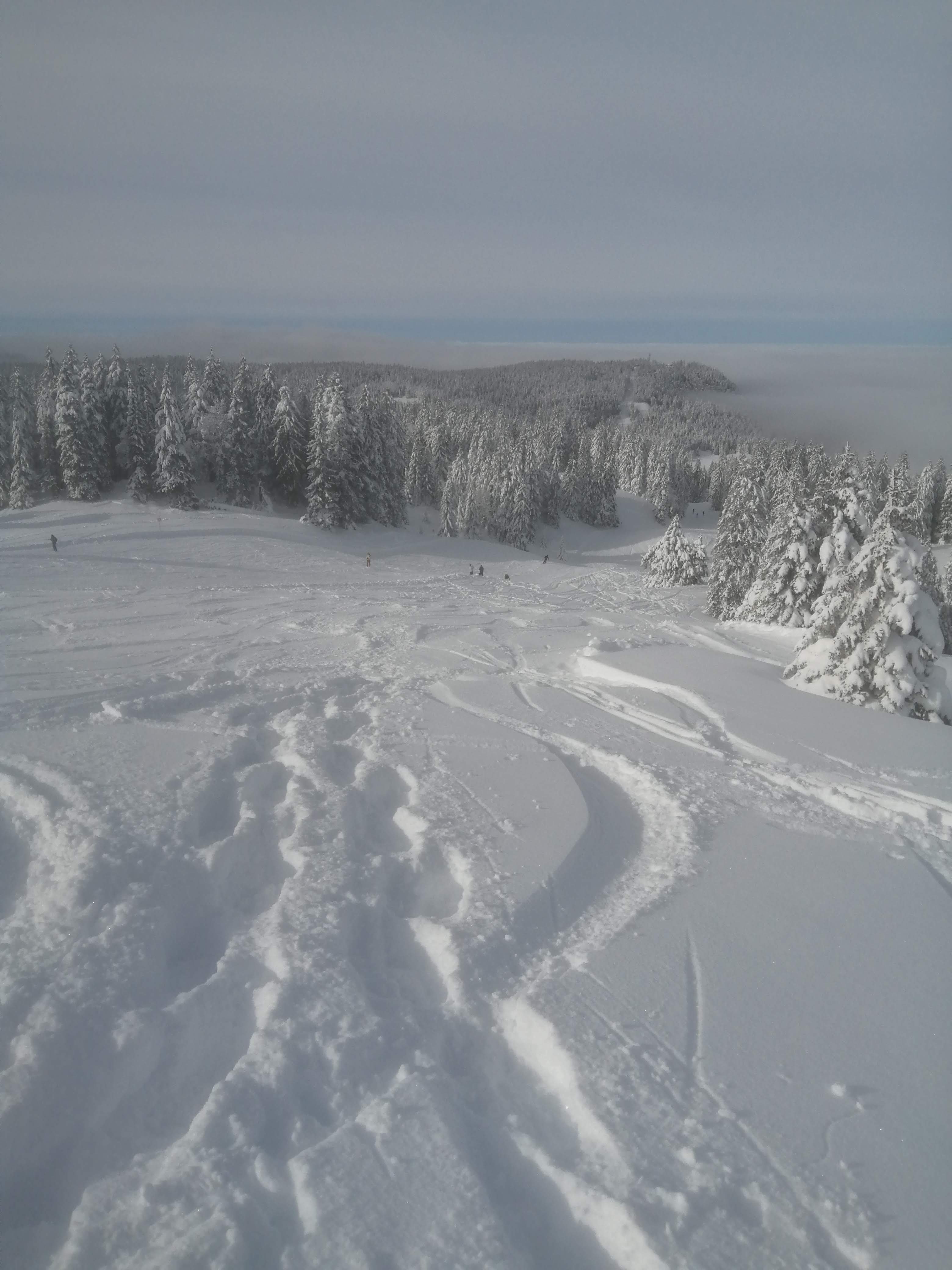 photo de montagne enneigée avec une forêt